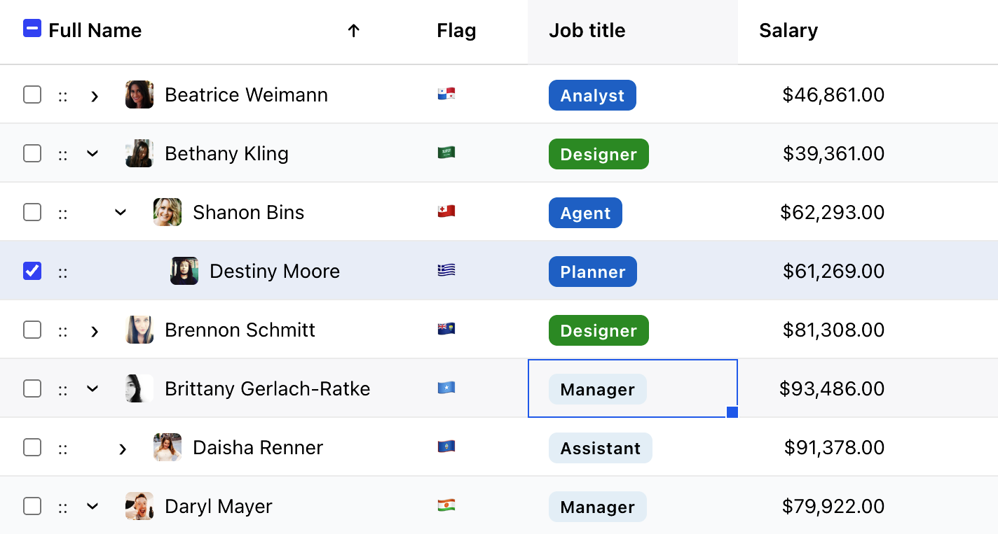 Hierarchical Data View
